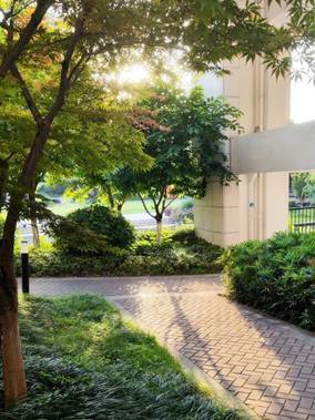 mmexport1725426842763